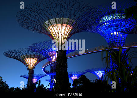 Supertrees, giardini dalla baia, Singapore Foto Stock