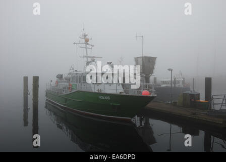 MS Holnis nella nebbia in Flensburg Foto Stock