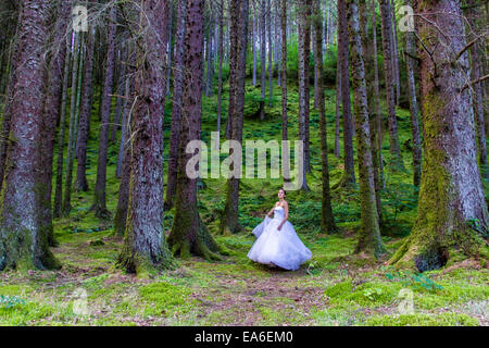 Regno Unito, Scozia, donne in abito da sposa in foresta Foto Stock