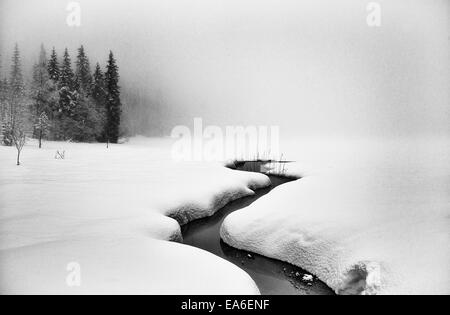 Flusso attraverso paesaggio rurale invernale, Norvegia Foto Stock