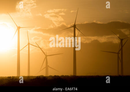 San Gorgonio Pass Wind Farm at Sunset, California, Stati Uniti Foto Stock