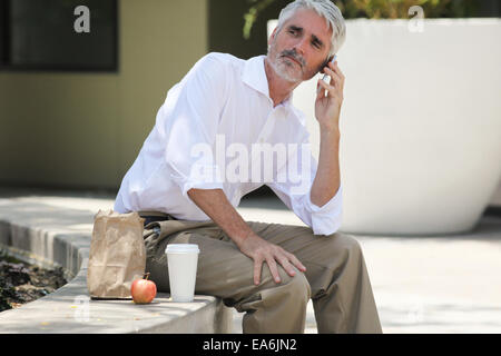 Imprenditore sulla pausa pranzo parlando al telefono Foto Stock