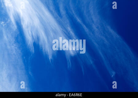 Cirrus e cumuli di nuvole contro un cielo blu scuro. Foto Stock