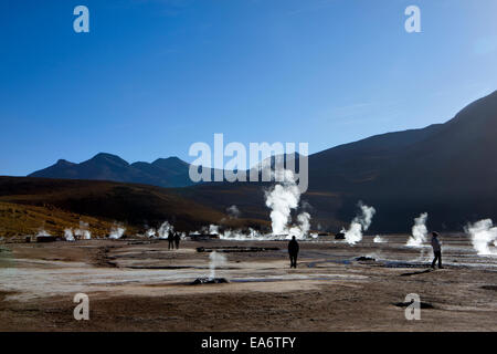 El Tatio geyser, il Deserto di Atacama nel Cile. Foto Stock