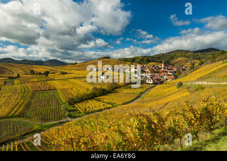 Il villaggio di Niedermorschwihr tra vigneti in Alsazia, Francia. Foto Stock