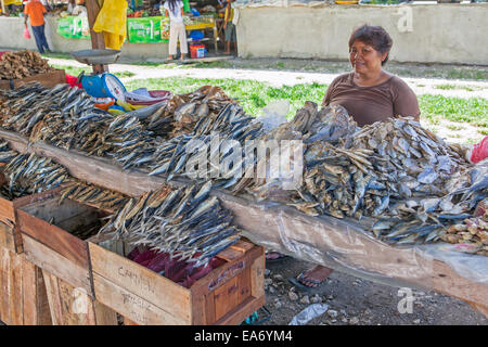 Una mezza età donna filippina vende pesce essiccati dal suo stand presso il mercato pubblico in città Dimiao, Isola di Bohol, Filippine. Foto Stock