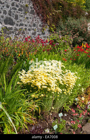 Giardino murato, Dunvegan Castle, Isola di Skye, Scotland, Regno Unito Foto Stock