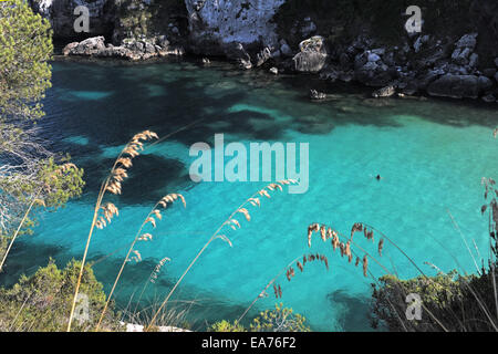 Vista su nuotatori in Cala Macarellita, Menorca Foto Stock