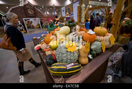 Toronto, Canada. 7 Nov, 2014. La gente visita durante la 92ma Royal Agricultural inverno fiera presso il diretto di energia nel centro di Toronto, Canada, nov. 7, 2014. Come uno dei più grande coperta mostra agricola nel mondo, i dieci giorni di manifestazione annuale ha dato dei calci a fuori qui il venerdì. © Zou Zheng/Xinhua/Alamy Live News Foto Stock