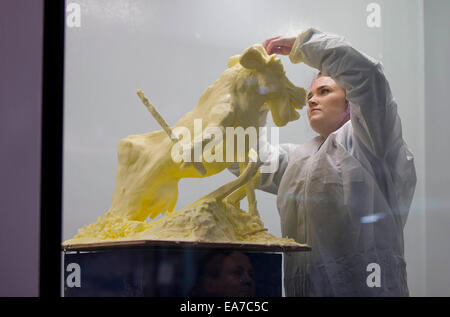 Toronto, Canada. 7 Nov, 2014. Una donna che fa il burro scultura durante il 92Royal Agricultural inverno fiera presso il diretto di energia nel centro di Toronto, Canada, nov. 7, 2014. Come uno dei più grande coperta mostra agricola nel mondo, i dieci giorni di manifestazione annuale ha dato dei calci a fuori qui il venerdì. © Zou Zheng/Xinhua/Alamy Live News Foto Stock