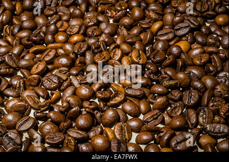 chicchi di caffè Foto Stock