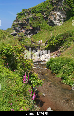 Valle rocciosa sulla costa tra Tintagel & Boscastle North Cornwall South West England Regno Unito Foto Stock