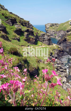 Valle rocciosa sulla costa tra Tintagel & Boscastle North Cornwall South West England Regno Unito Foto Stock