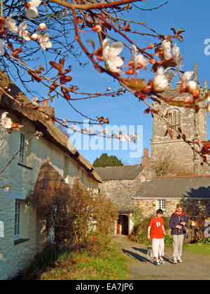 I ragazzi a camminare lungo il percorso per giocare a tennis oltre la riga di cottage con il tetto di paglia & Albero Bianco fiore con il campanile di una chiesa in background St Cle Foto Stock