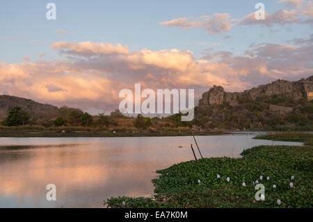 Vista da Iharana bush camp Madagascar con palissonatrice martin pescatore malgascio Foto Stock