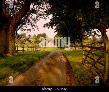 Albourne Station Wagon vigneto in West Sussex, Regno Unito. Foto Stock