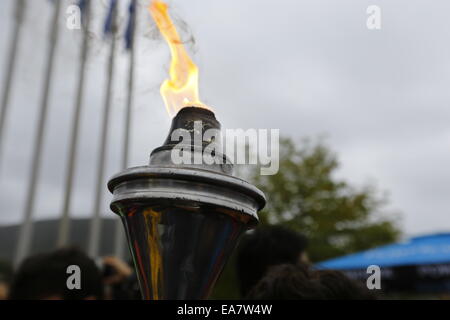 Atene, Grecia. 8 novembre 2014. Close-up della Maratona di torcia a fiamma. La maratona di fiamma del xxxii maratona di Atene è stata accesa nel luogo di inizio della Maratona nella maratona. La fiamma si bruciano per tutta la marathon weekend. Un numero record di 13.000 corridori della maratona è registrato per questo anno la gara. Credito: Michael Debets/Alamy Live News Foto Stock