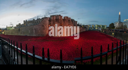 Londra, UK, 8 novembre 2014. Migliaia di visitatori arrivano all'alba presso la Torre di Londra per vedere, ceramica artista, Paolo Cummins' arte di installazione, " sangue spazzata di terre e mari di Rosso". Il lavoro riconosce i cento anni della prima giornata piena di Gran Bretagna il coinvolgimento nella Prima Guerra Mondiale e ciascuno dei papaveri 888,246 rappresenta un britannico o coloniale fatalità militare durante la guerra. L'ultimo di papavero sarà simbolicamente piantato l'11 novembre 2014, il giorno dell'armistizio. Nella foto: Dawn panorama di riempire il fossato asciutto. Credito: Stephen Chung/Alamy Live News Foto Stock