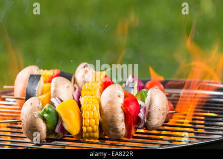 Deliziose grigliate spiedini vegetariani sui carboni ardenti Foto Stock