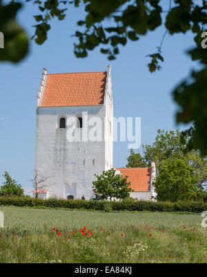 Stubberup Kirke con papaveri. Un tipico imbiancati danese chiesa rurale. Un campo delimitato di papaveri selvatici in primo piano. Foto Stock