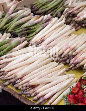 Gli asparagi bianchi e verdi a mercato. Una tabella di mercato coperto con prodotti freschi asparagi germogli perlopiù bianco,ma pochi troppo verde. Foto Stock