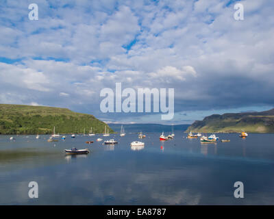 Plockton, Loch Carron, Scozia. Foto Stock