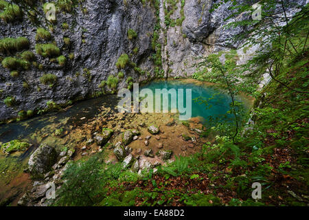 Izbucul Tauzului, molla carsici e grotte subacquee in Romania, Apuseni parco nazionale Foto Stock