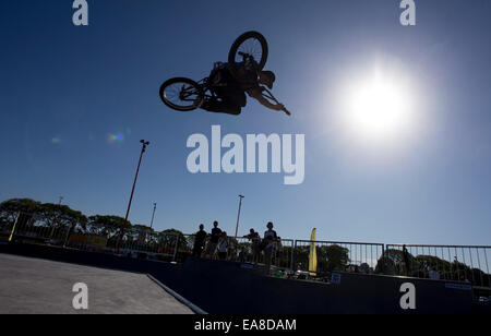 Buenos Aires, Argentina. 8 Novembre, 2014. Un giovane esegue un salto in un evento di pattinaggio durante il Festival urbano presso il Parco di Costanera a Buenos Aires, Argentina, su nov. 8, 2014. Il primo Festival di Urban, celebrata da nov. Da 8 a 9, con attività sportive, culturali e di attività musicali. © Martin Zabala/Xinhua/Alamy Live News Foto Stock