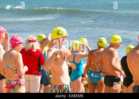 Sydney, Australia. 9 Nov, 2014. I concorrenti per la 800m oceano Pittwater nuotare serie gara ospitata presso Collaroy Beach Sydney, l'Oceano Pittwater nuotare serie è tenuto a varie spiagge del Nord di Sydney. La 800m gara è aperta a tutti. Credito: martin berry/Alamy Live News Foto Stock