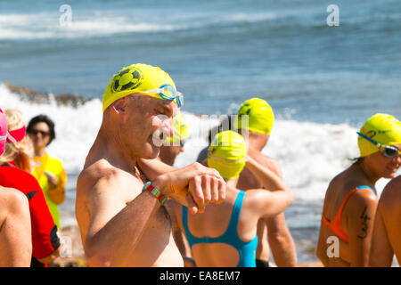 Sydney, Australia. 9 Nov, 2014. I concorrenti per la 800m oceano Pittwater nuotare serie gara ospitata presso Collaroy Beach Sydney, l'Oceano Pittwater nuotare serie è tenuto a varie spiagge del Nord di Sydney. La 800m gara è aperta a tutti. Credito: martin berry/Alamy Live News Foto Stock