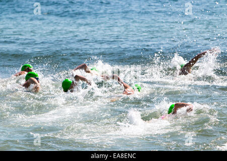 Sydney, Australia. 9 Nov, 2014. I concorrenti per la 800m oceano Pittwater nuotare serie gara ospitata presso Collaroy Beach Sydney, l'Oceano Pittwater nuotare serie è tenuto a varie spiagge del Nord di Sydney. La 800m gara è aperta a tutti. Credito: martin berry/Alamy Live News Foto Stock