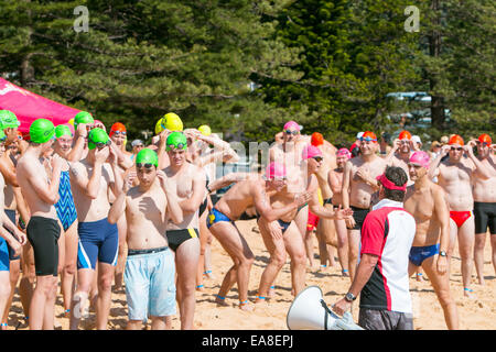 Sydney, Australia. 9 Nov, 2014. I concorrenti per la 800m oceano Pittwater nuotare serie gara ospitata presso Collaroy Beach Sydney, l'Oceano Pittwater nuotare serie è tenuto a varie spiagge del Nord di Sydney. La 800m gara è aperta a tutti. Credito: martin berry/Alamy Live News Foto Stock