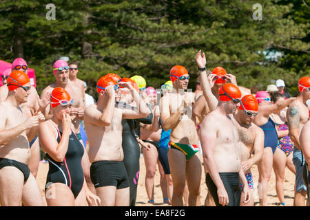 Sydney, Australia. 9 Nov, 2014. I concorrenti per la 800m oceano Pittwater nuotare serie gara ospitata presso Collaroy Beach Sydney, l'Oceano Pittwater nuotare serie è tenuto a varie spiagge del Nord di Sydney. La 800m gara è aperta a tutti. Credito: martin berry/Alamy Live News Foto Stock