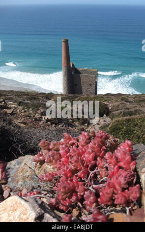 Guardando verso il basso in corrispondenza di Wheal Coates dismesse Miniera di stagno sul lato della scogliera sul mare a cappella Porth vicino a St Agnes sul nord della Cornovaglia Foto Stock