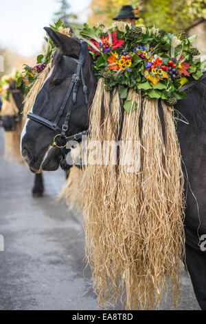 Tradizionale festa Hueter in Perchtoldsdorf, Bassa Austria, area di Vienna, Perchtoldsdorf Foto Stock
