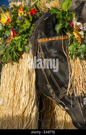 Tradizionale festa Hueter in Perchtoldsdorf, Bassa Austria, area di Vienna, Perchtoldsdorf Foto Stock
