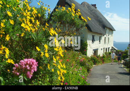 Cottage con tetto in paglia in chiesa Cove sulla penisola di Lizard Kerrier South West Cornwall South West England Regno Unito Foto Stock