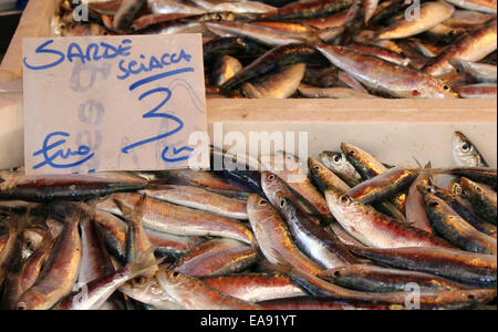 Sardine per la vendita su un mercato in stallo a Palermo in Sicilia Foto Stock