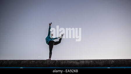 Berlino, Germania. 8 Novembre, 2014. Una ragazza pratiche su un tratto del muro di Berlino, noto come East Side Gallery, per la sua performance al Circus Cabuwazi a Berlino, Germania, 8 novembre 2014. Il circo si mette in mostra il loro programma intitolato "Zirkus ueberwindet Grenzen' (circus supera le frontiere) in occasione del XXV anniversario della caduta del muro di Berlino il 09 novembre 2014. Foto: Maja Hitij/dpa/Alamy Live News Foto Stock