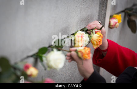 Berlino, Germania. 9 Nov, 2014. Visitatore luogo fiori in lacune del Memoriale del Muro di Berlino a Berlino (Germania), 9 novembre 2014. Numerose manifestazioni si svolgono per commemorare il venticinquesimo anniversario della caduta del muro di Berlino. Foto: Kay Nietfeld/dpa/Alamy Live News Foto Stock