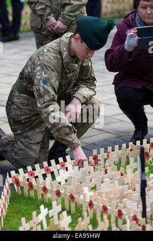 Belfast, Irlanda. Il 9 novembre 2014. Un esercito di giovani piante di cadetti di una croce di legno al cenotafio a Belfast per commemorare la Giornata Nazionale del Ricordo Foto Stock