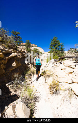 Escursionista femmina sul West Rim sentiero escursionistico. Parco Nazionale di Zion, Utah, Stati Uniti d'America. Foto Stock