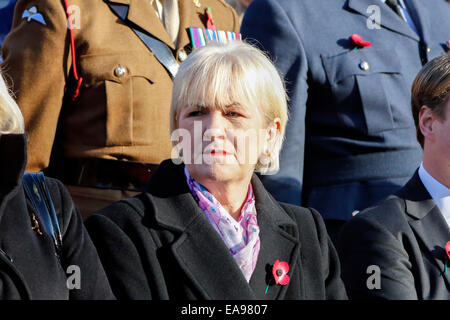 Glasgow, Regno Unito. 09Nov, 2014. La commemorazione annuale parata del giorno si è tenuto presso il cenotafio in George Square, Glasgow, al di fuori della City Chambers. Tutti i reggimenti scozzesi e di servizi armati sono stati rappresentati presso la parata e molti dignitari e i membri del parlamento scozzese hanno inoltre partecipato a gettare ghirlande, tra cui Nicola storione, Primo ministro designato, Johanne Lamont, passato leader del partito laburista in Scozia e Ruth Davidson, il leader dei conservatori scozzese. Credito: Findlay/Alamy Live News Foto Stock