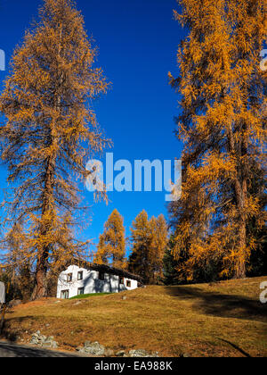 Piccola casa e il paesaggio autunnale in Svizzera Foto Stock