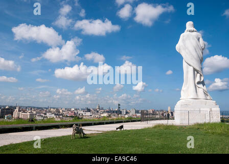 Caprini mangiare erba vicino alla statua di Gesù Cristo che domina la città di Havana Cuba nel distretto di Casablanca di Havana Cuba Foto Stock