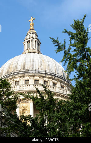 La cupola della cattedrale di San Paolo Foto Stock