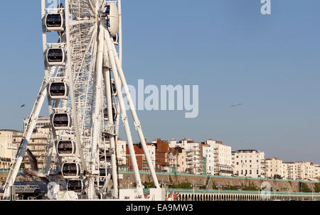 Emergendo sul lungomare di Brighton nell ottobre 2011 è la ruota di Brighton, una ruota panoramica che offre vedute lungo il Sussex COA Foto Stock