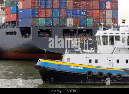 Pile di contenitori di spedizione impilati su una nave container nel porto di Rotterdam, Paesi Bassi. Rotterdam è l'Europa è un grande Foto Stock