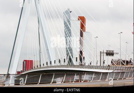 Ponte Erasmus di Rotterdam Paesi Bassi Foto Stock