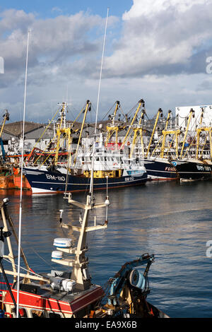 Brixham trawler flotta,Brixham pescherecci da traino,esea,e.mare,trawler lasciando Brixham harbour,wee boy,Wee Boy Giovanni trawler,fortunatamente per Brixh Foto Stock